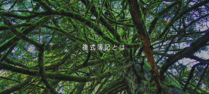 複式簿記とは